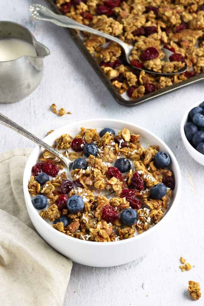 Bowl of vegan granola with blueberries.