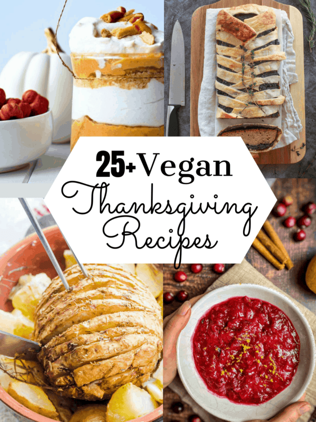 Best Vegan Thanksgiving Recipes