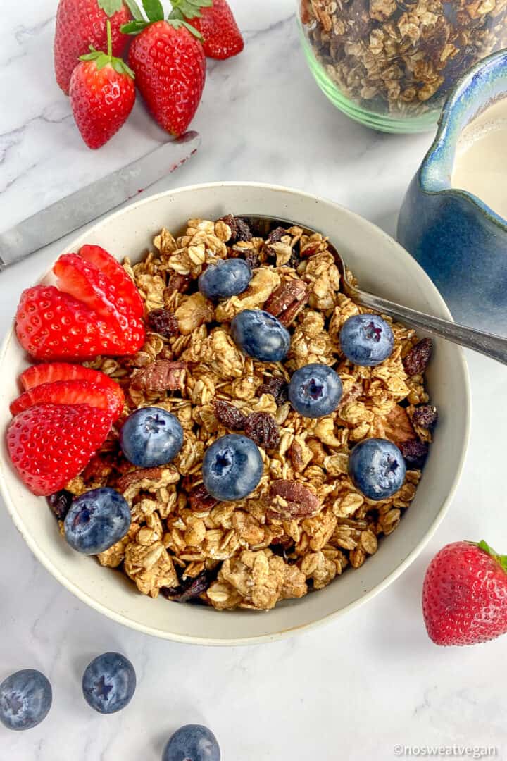 Vegan Granola (Easy, Oil-Free, WFPB) – No Sweat Vegan