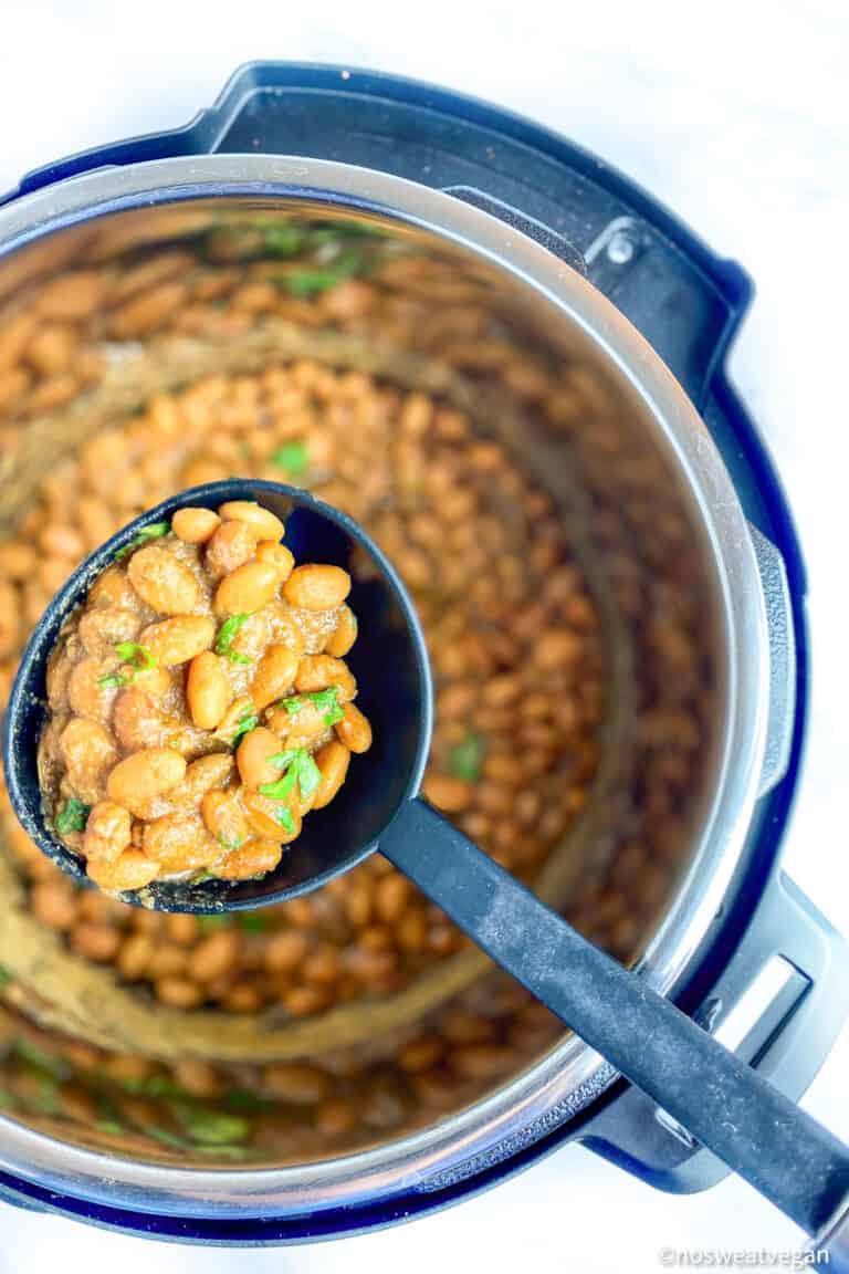 Instant Pot Pinto Beans (No Soak!) No Sweat Vegan