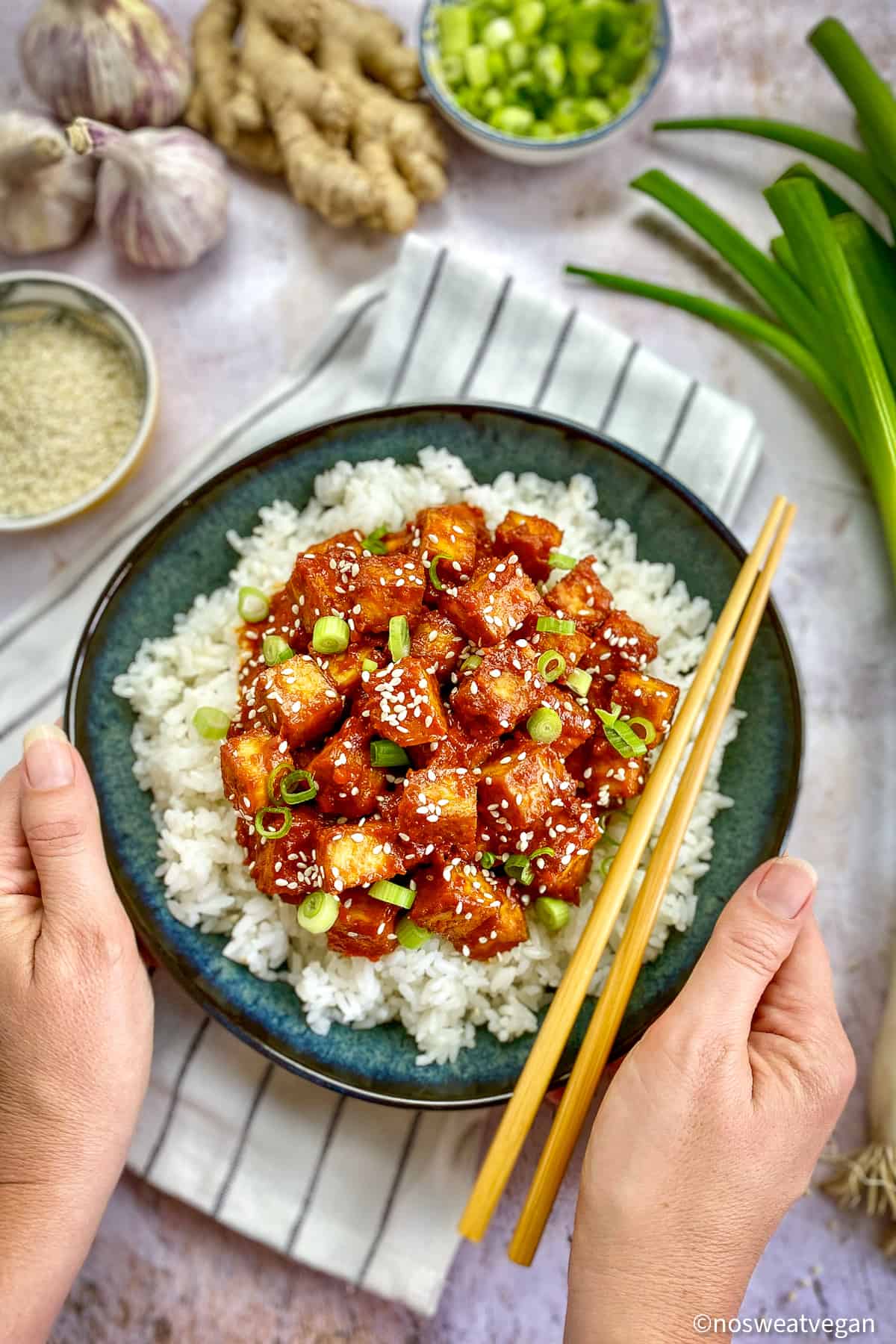 Korean tofu in bowl with rice.