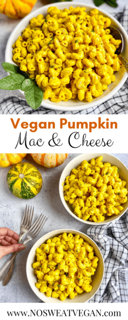 Vegan Pumpkin Mac and Cheese pin.
