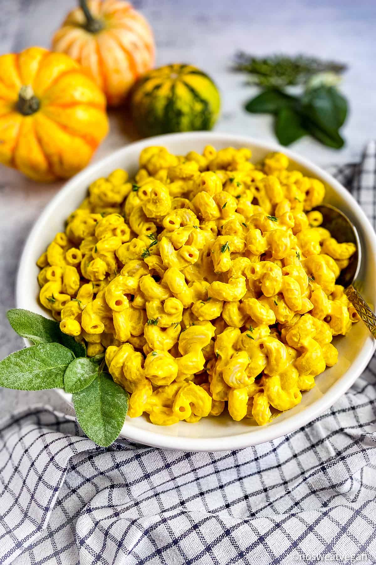 Vegan pumpkin pasta in a bowl.