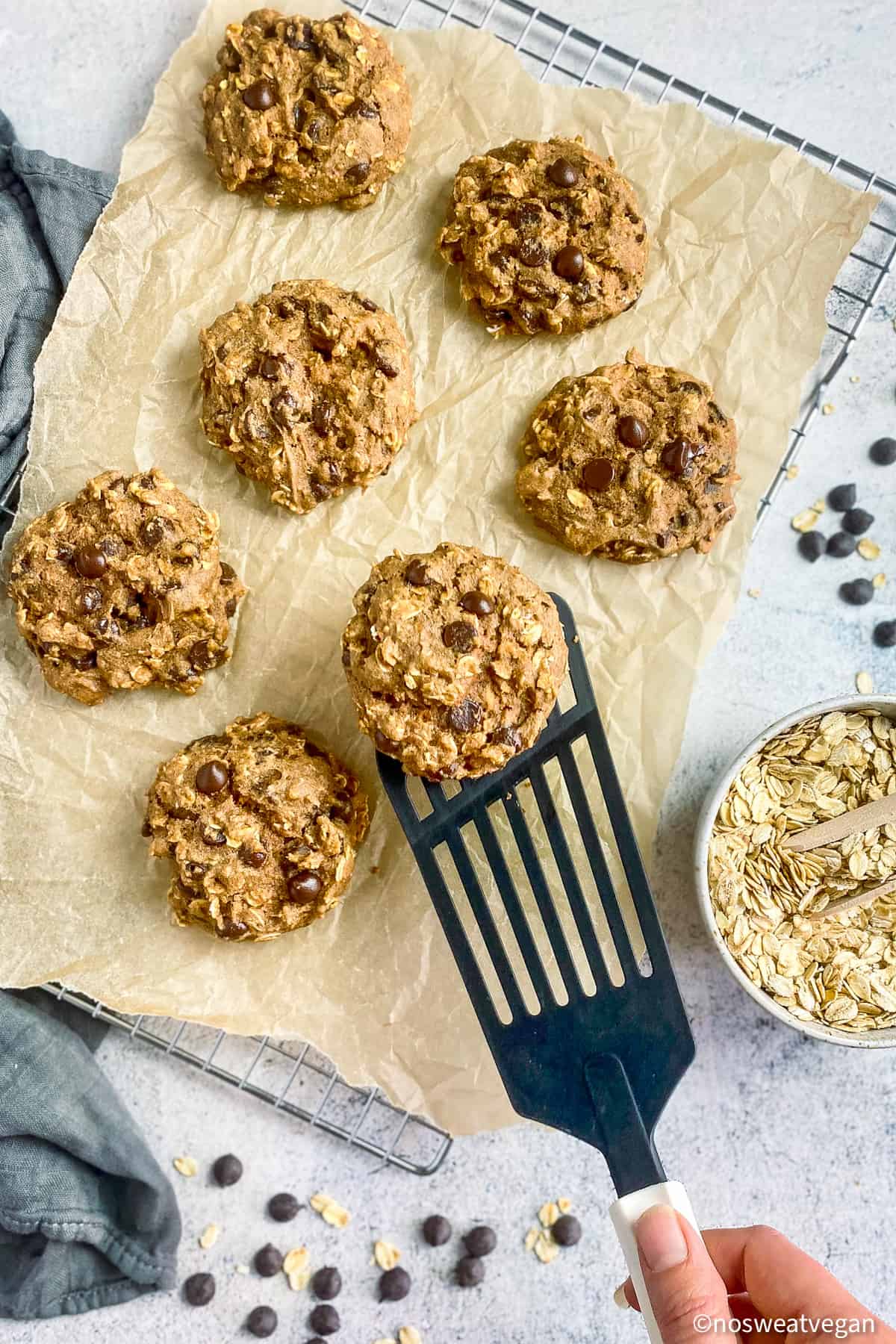 Oatmeal chocolate chip cookies on a drying rack.