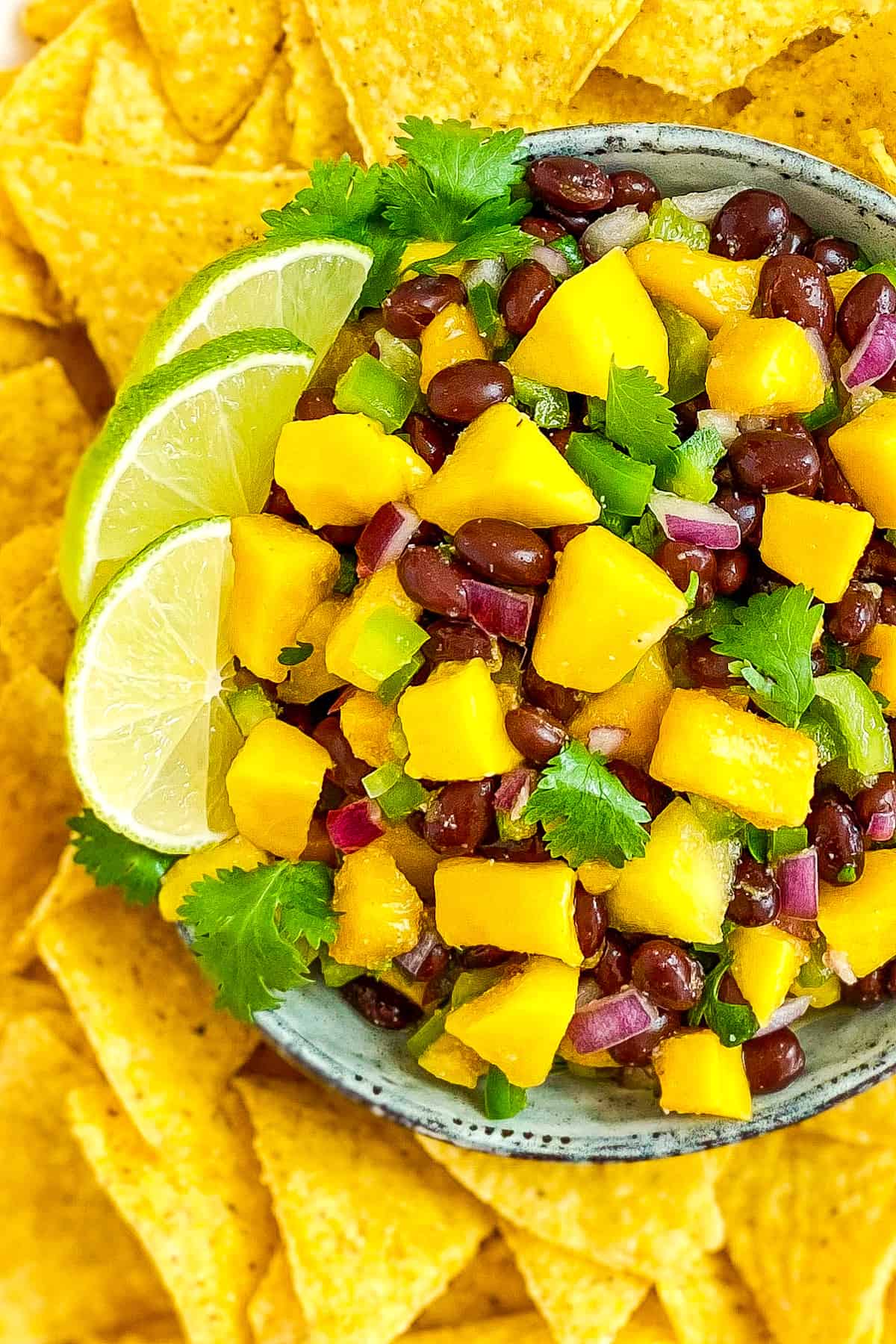 Black bean mango salsa in a bowl surrounded by chips.