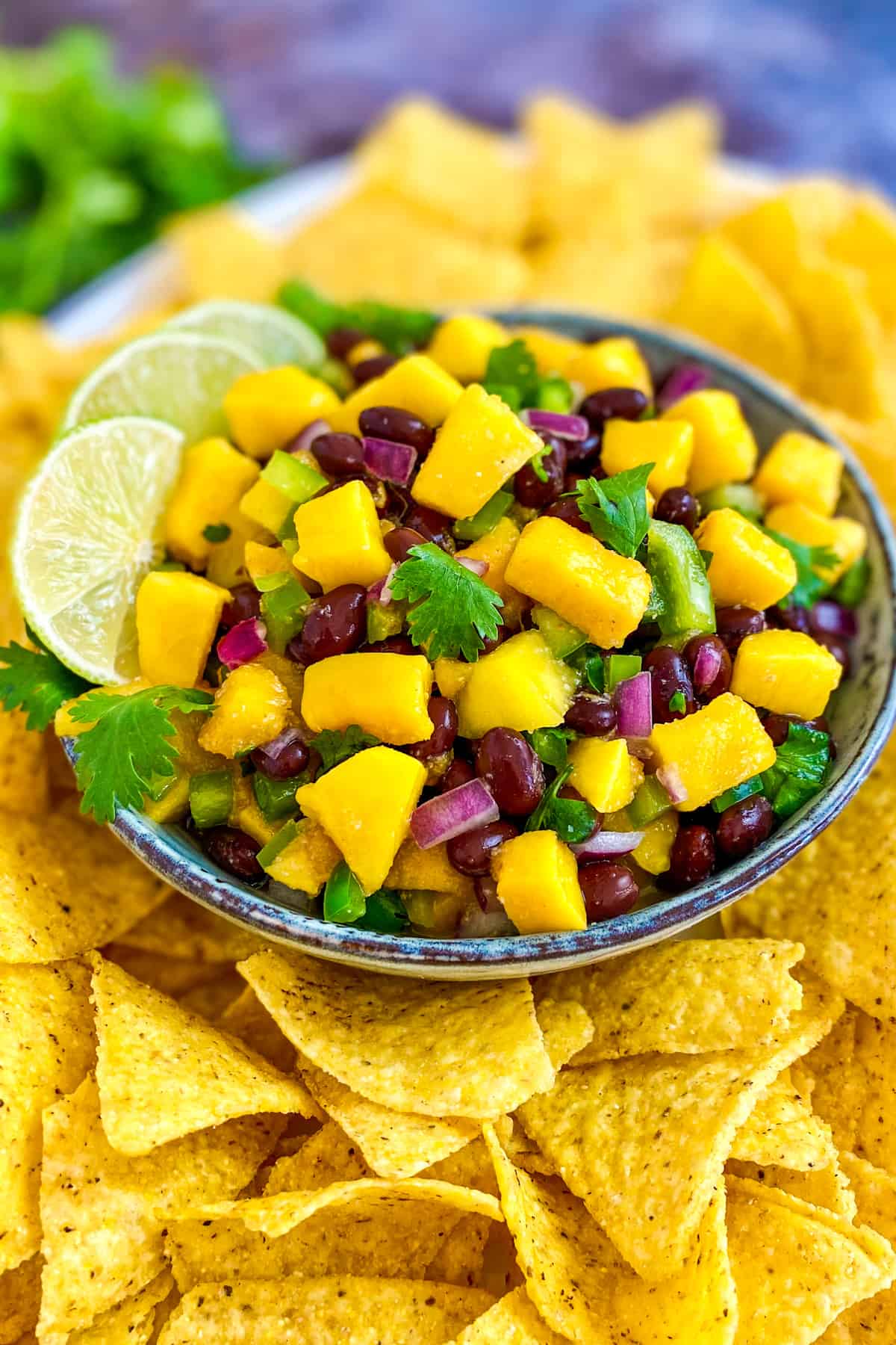 Mango black bean salsa in bowl surrounded by chips.