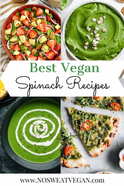 Vegan spinach recipes.