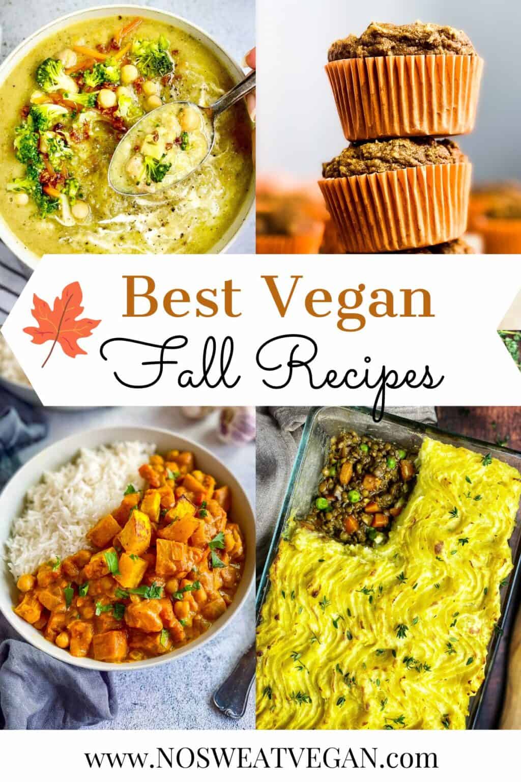 21 Comforting Vegan Fall Recipes – No Sweat Vegan