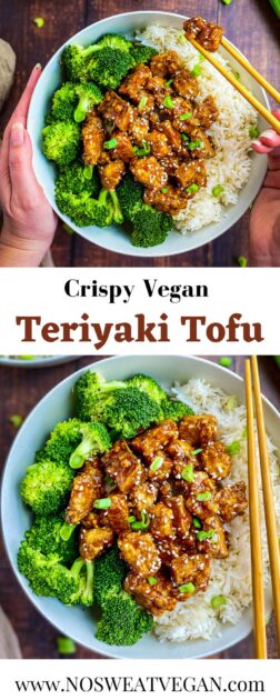 Teriyaki tofu pin.