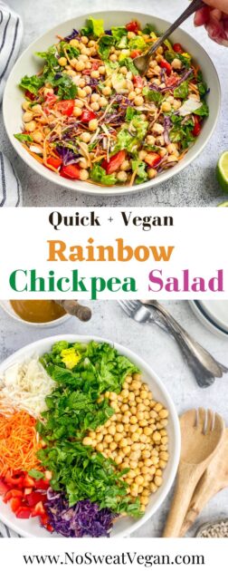 Rainbow chickpea salad pin.