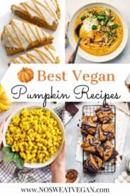 Vegan pumpkin recipes pin.