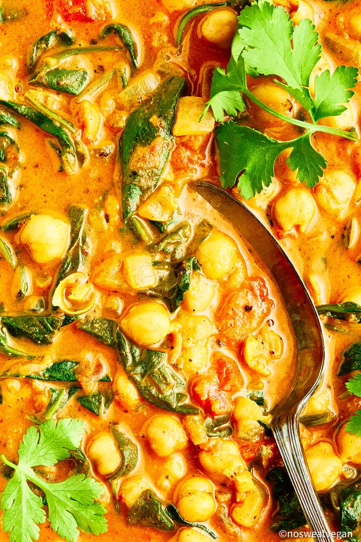 Closeup of chickpea spinach curry.