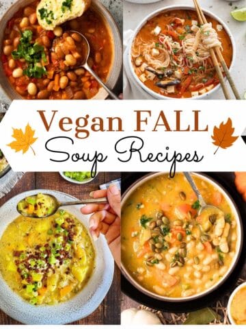 Vegan fall soup recipes.