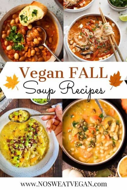 Vegan fall soup recipes.