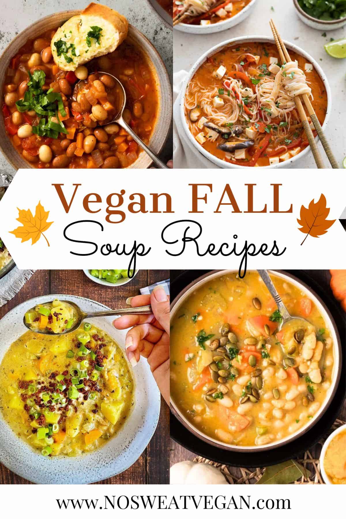 Vegan fall soup recipes.